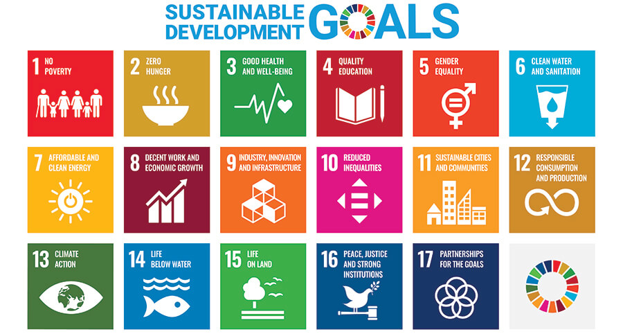 17 United Nations Sustainable Development Goals.